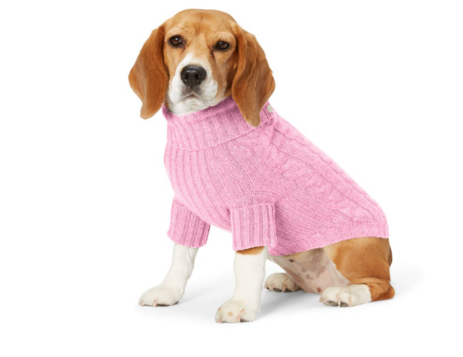 Warm dog sweater from Ralph Lauren