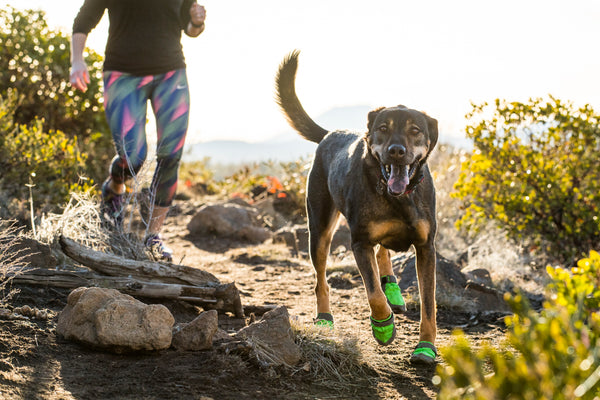 Ruffwear Summit Trex Dog Boots | Barks & Bunnies