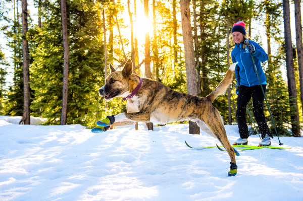 Ruffwear Polar Trex dog Boots | Barks & Bunnies