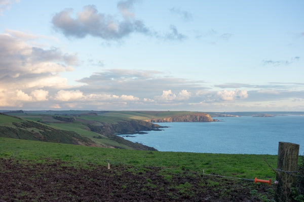 View over the sea at Devon | Barks & Bunnies