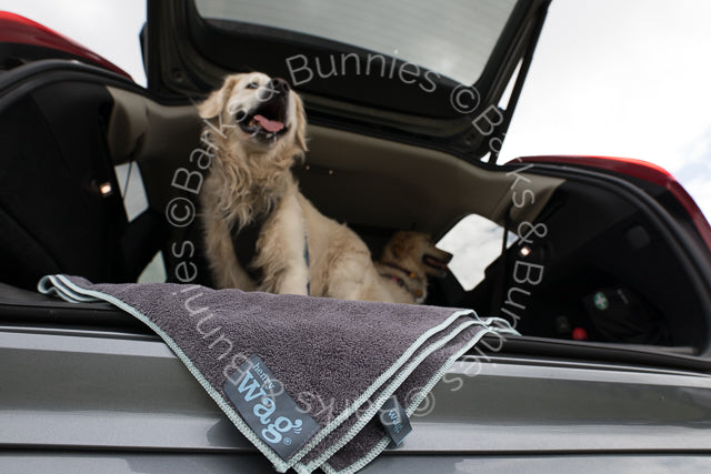 Henry Wag Microfibre Dog Towel Review | Barks & Bunnies