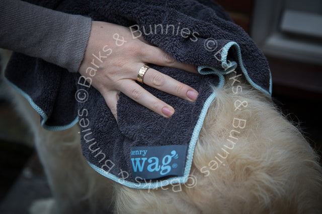 Henry Wag Microfibre Super Absorbent Dog Towel Review | Barks & Bunnies