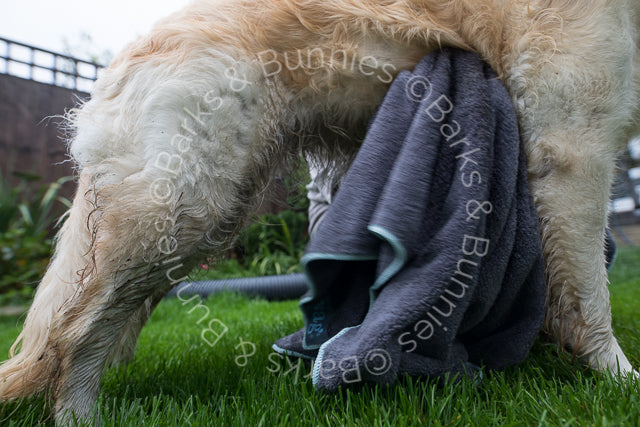 Henry Wag Microfibre Super Absorbent Dog Towel Review | Barks & Bunnies