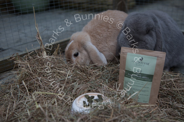 Innocent Rabbit Fragrant Herb Nibbles by The Innocent Pet | Barks & Bunnies