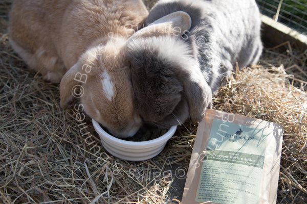 Innocent Rabbit Fragrant Herb Nibbles by The Innocent Pet | Barks & Bunnies