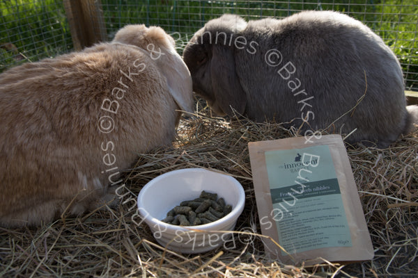 Innocent Rabbit Fragrant Herb Nibbles by The Innocent Pet | Barks & Bunnies