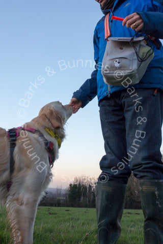 DOOG Walkie Bag, Best Bag for Dog Walkers | Barks & Bunnies