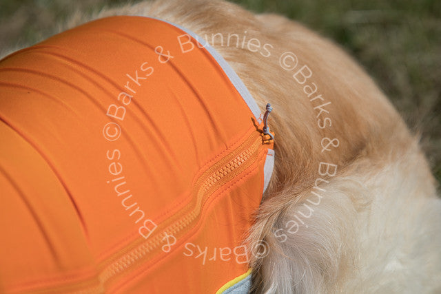 Ruffwear Jet Stream Cooling Vest Review Salamander Orange, Dog Cooling Coat | Barks & Bunnies