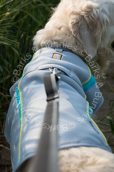 Ruffwear Swamp Cooler Review 2017, Dog Cooling Coat | Barks & Bunnies