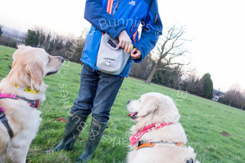 DOOG Walkie Bag, Dog Walking Shoulder Bag | Barks & Bunnies