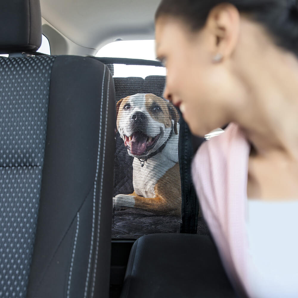 Woman looking at dog through Meadowlark Mesh Window