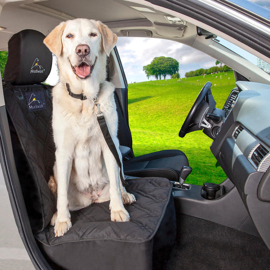  Large white dog sitting on Meadowlark Front Seat Dog Cover