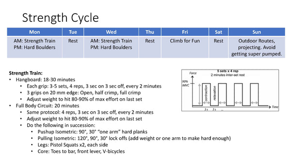 Strength Cycle