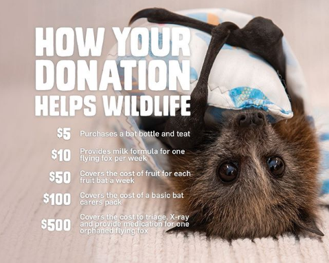 how your donations help