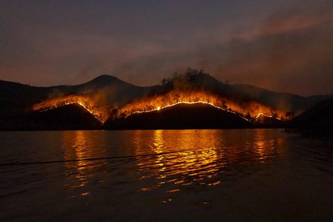 Australia Bushfires