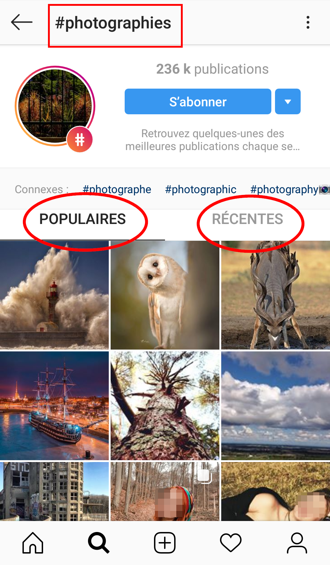 publications populaires recentes