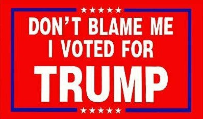 Donald Trump Flag FREE SHIPPING Don't Blame Me I Voted Trump White USA Sign 3x5' 