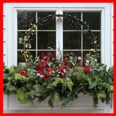 Christmas garlands in window