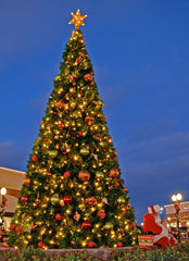 Giant Christmas Tree at Shopping Center