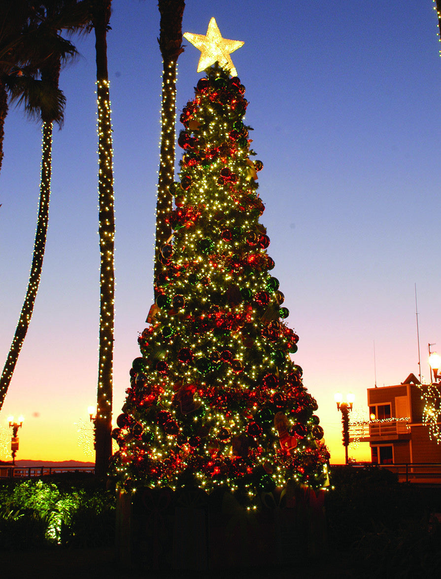 star christmas lights for tree