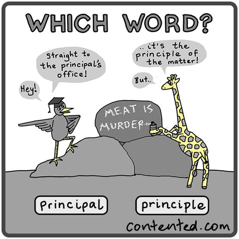 Which word: principle or principal? Writing tip from Contented.com