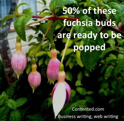 50% of these fuchsia buds are ready to be popped