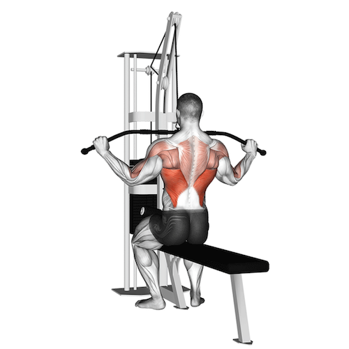zuiverheid mate slecht Wide Grip Lat Pulldown: A Complete Guide | How to Build a Bigger Back!
