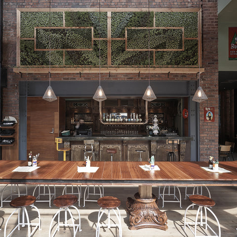 Grove beer and tap Liverpool restaurant interior with greenery and industrial lights