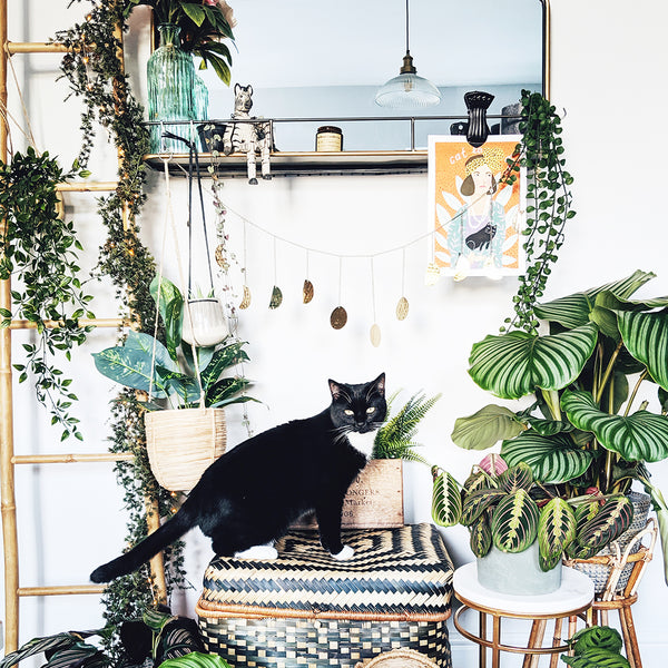 Shabby chic bedroom interior with greenery and glass pendant with a black cat