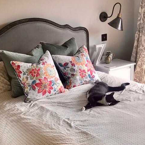 Cat laying on a bed with table lamp