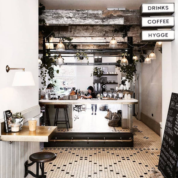 Plants and lighting in a coffee shop