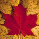 Fall-Maple-Leaf-Map-(Blog-Post)