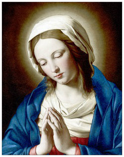 Our Lady in Blue and Red