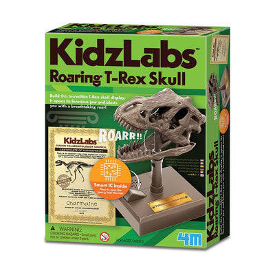 4M - KidzLabs - Roaring T-Rex Skull