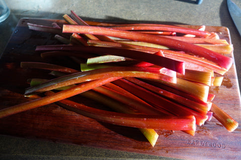 Lodge cast iron pan strawberry rhubarb crisp dutch oven