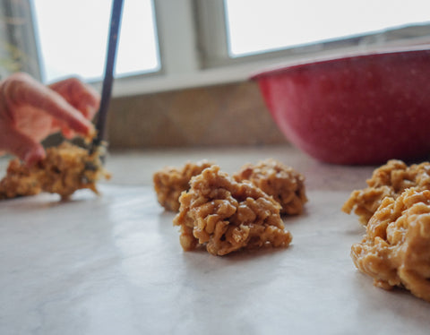 easy 5 ingredient peanut butter cookies Special K