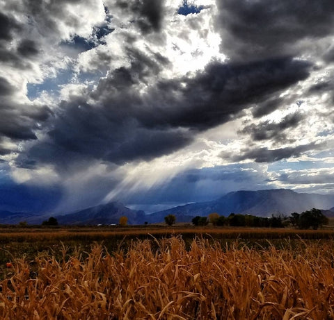 Clark Wyoming pumpkin patch view