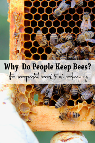 Why do people keep bees