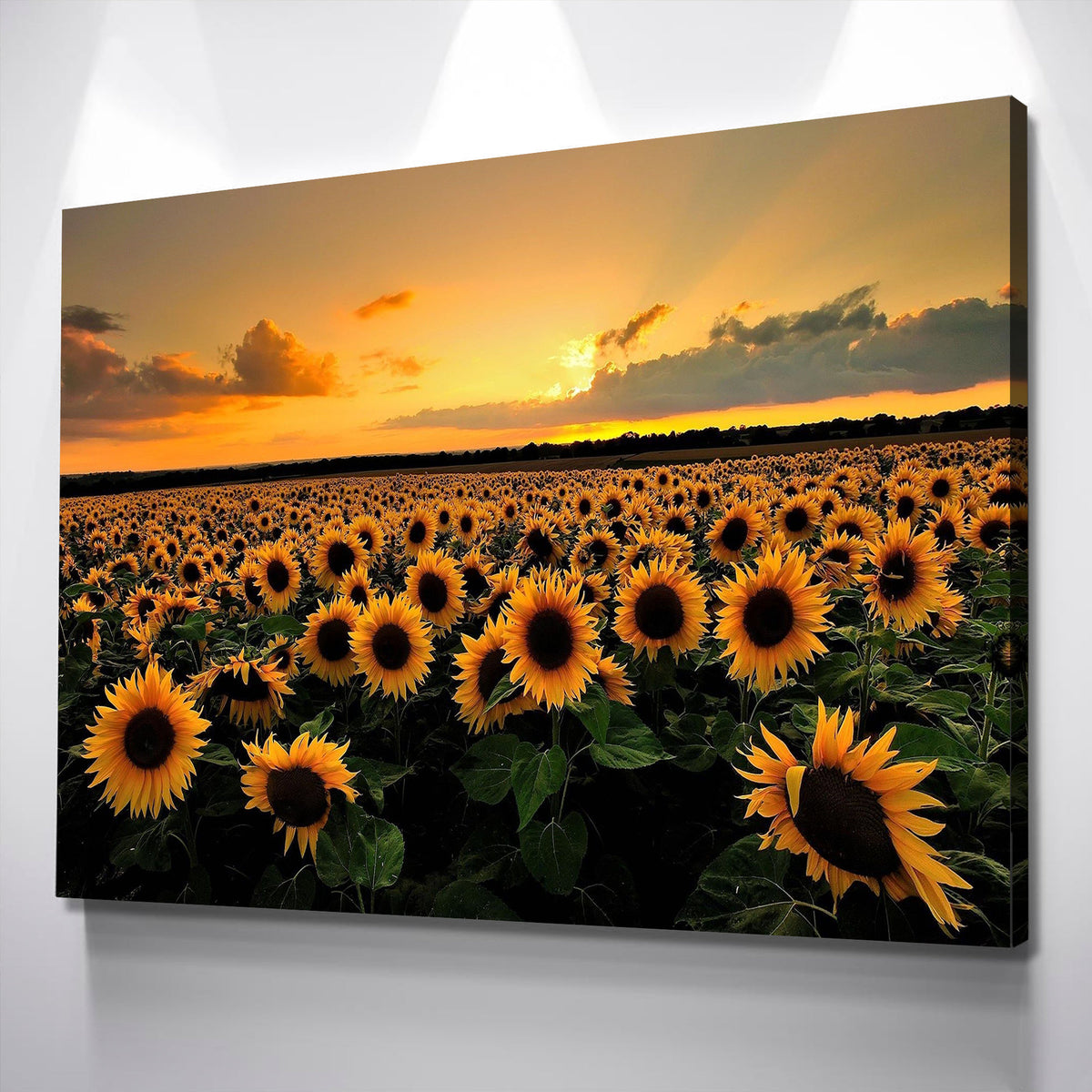 Sunflower Wall Art Sunflower Wall Decor Sunflower Canvas Sunflower Dec