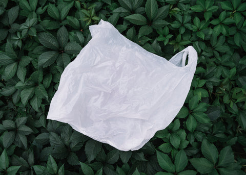 Grocery Bags, The 7 Main Types of Plastic and How to Recycle Them