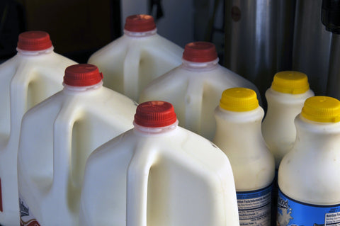 Milk, The 7 Main Types of Plastic and How to Recycle Them