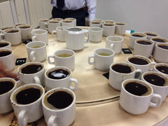 Coffee Lot Quality Cupping