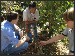 Pablo Escobar Darrel Burns Inspecting ROot Health Bourbon Coffee Guatemala