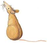 Catherine Rayner - Mouse