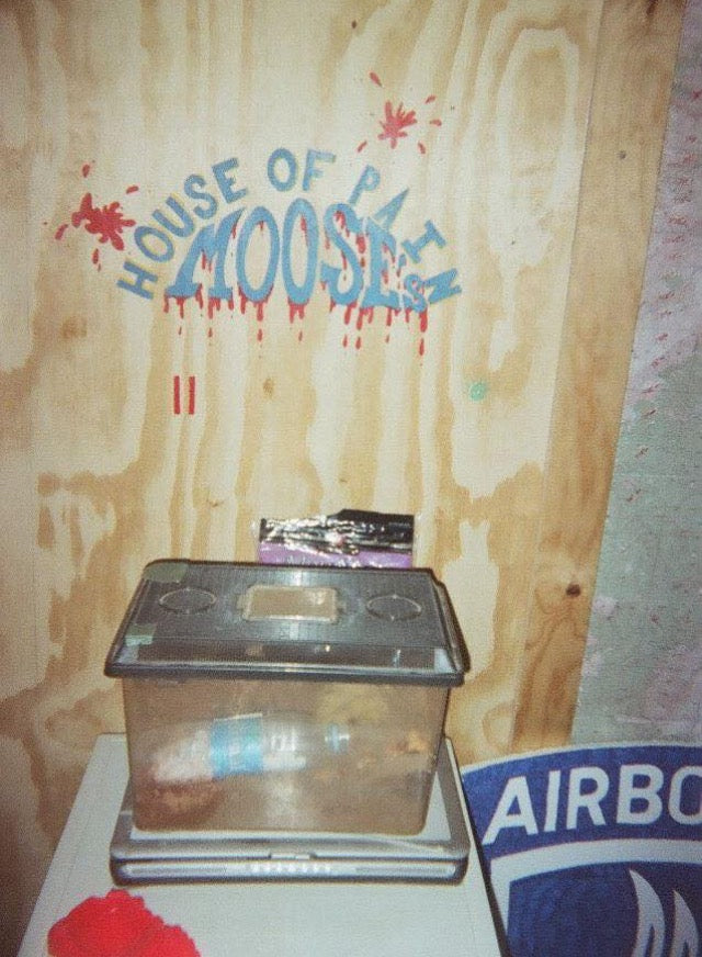 Moose's house of pain art on wall inside TOC