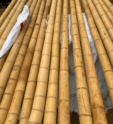 30 bamboo tubes for Crazy Chair stands