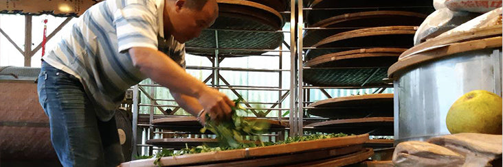 Eco-Cha Tea Club: Fo Shou Oolong Tea