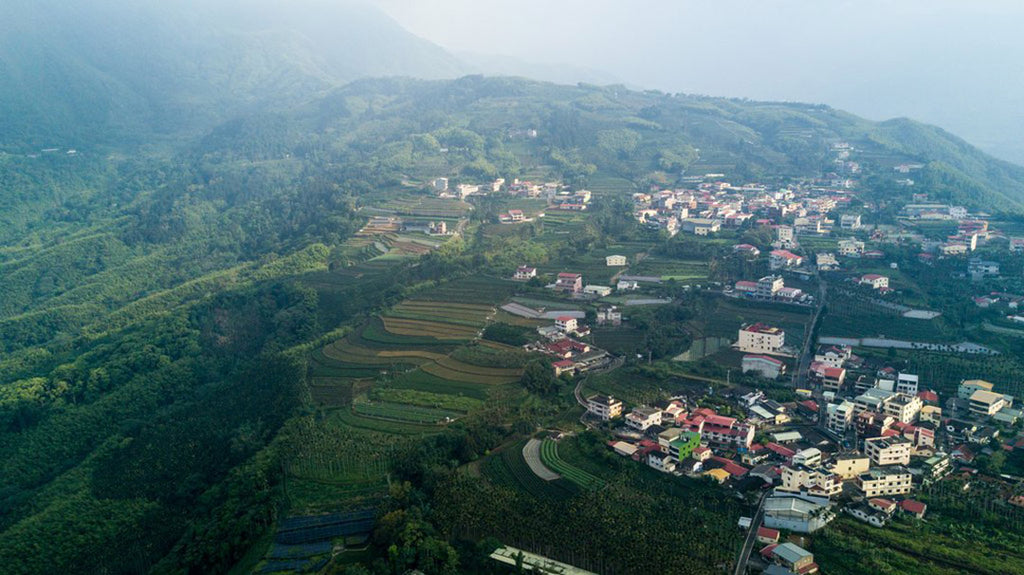 Historical Dong Ding Oolong Tea growing villages in Lugu Township, Nantou County Taiwan. 