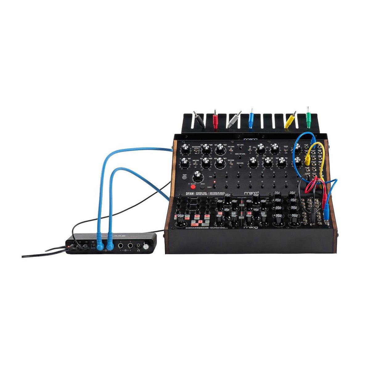 Moog Sound Studio - DFAM & Subharmonicon – Nightlife Electronics