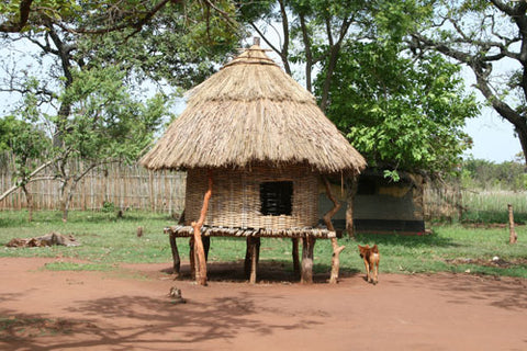 Sudanese shea butter